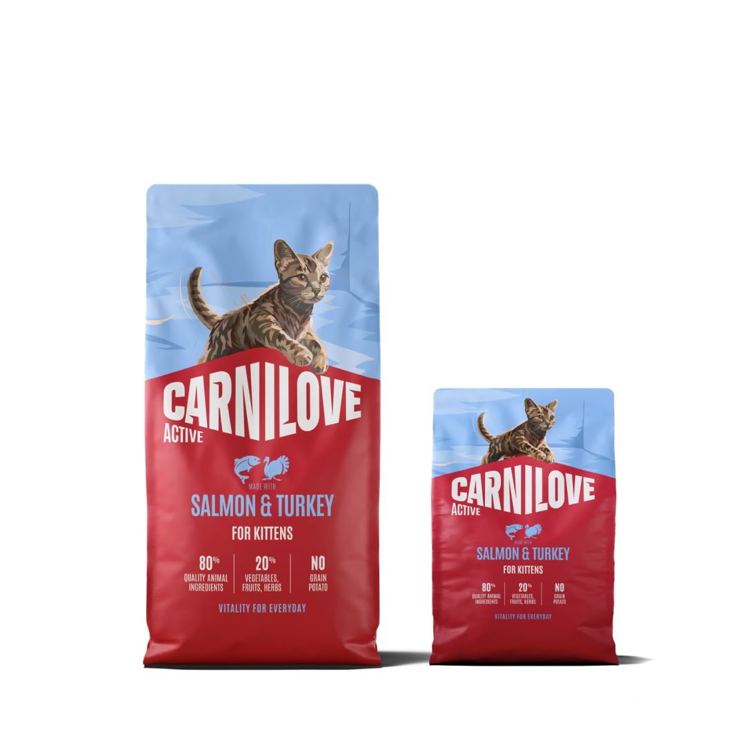 Active Dry Salmon & Turkey XXL for kittens pack