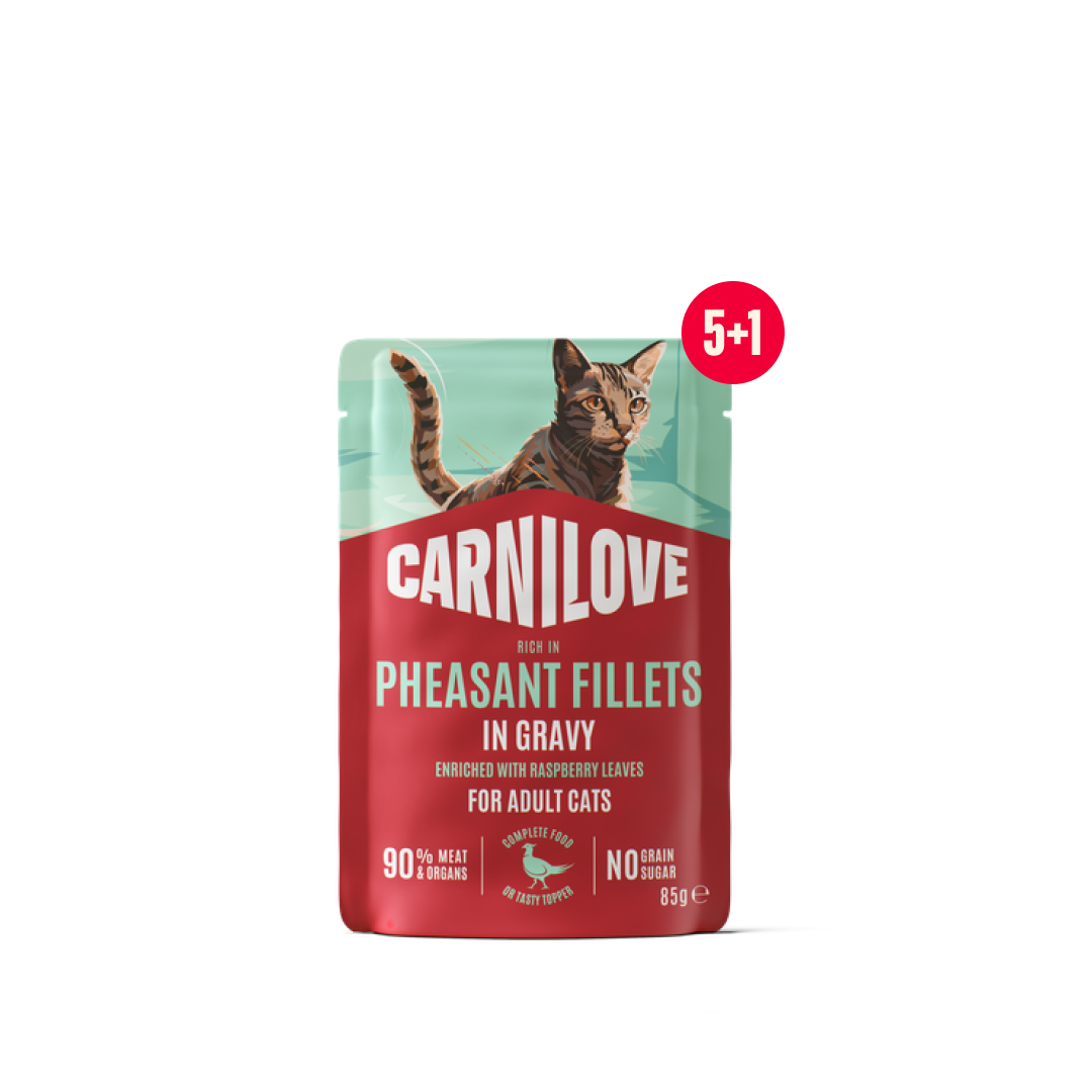 Gravy pouch Pheasant with Raspberry Leaves for cats 5+1 pack