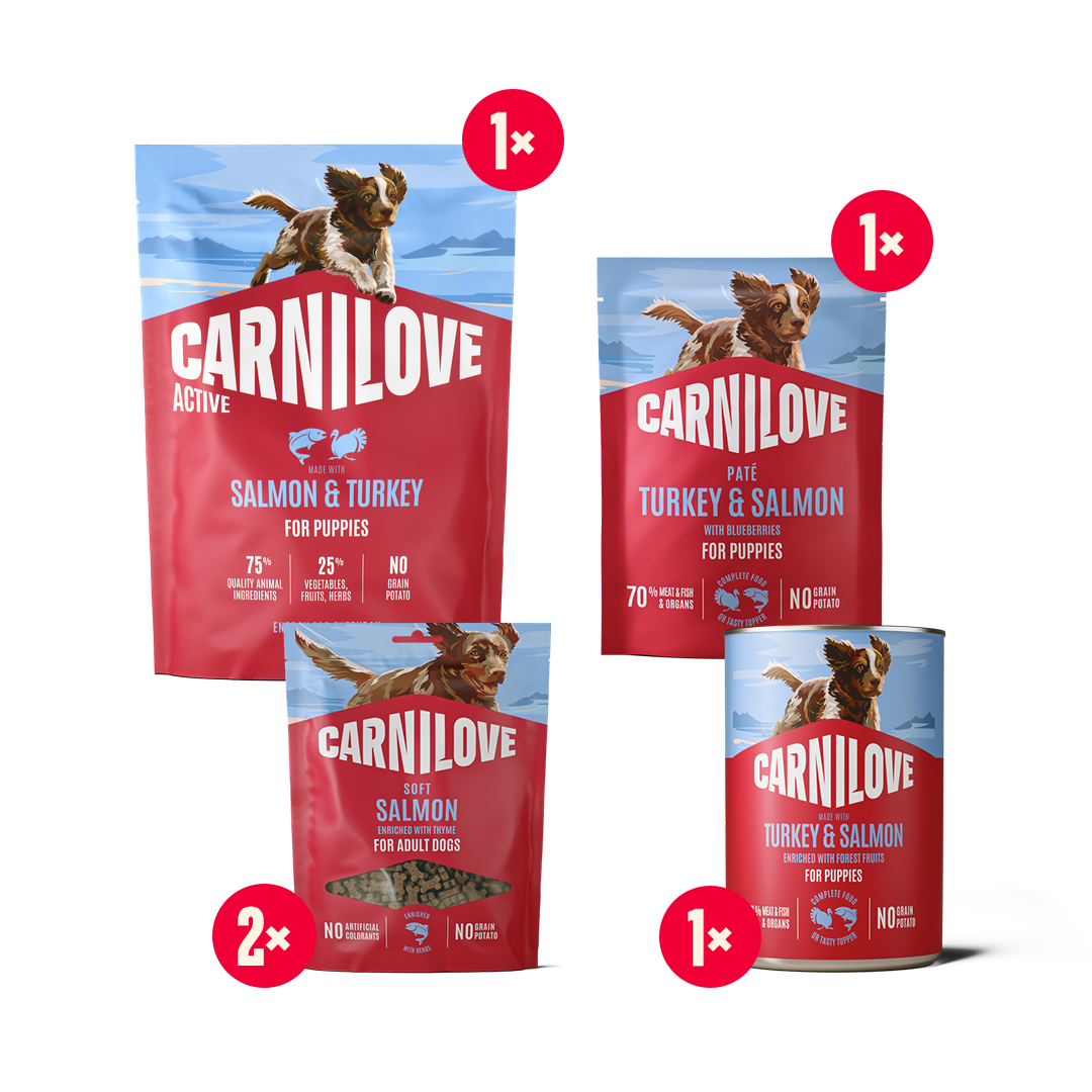 ACTIVE Puppy Starter Pack