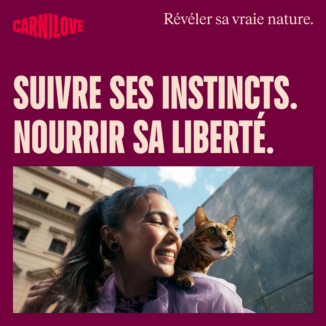 103100793 7 FR