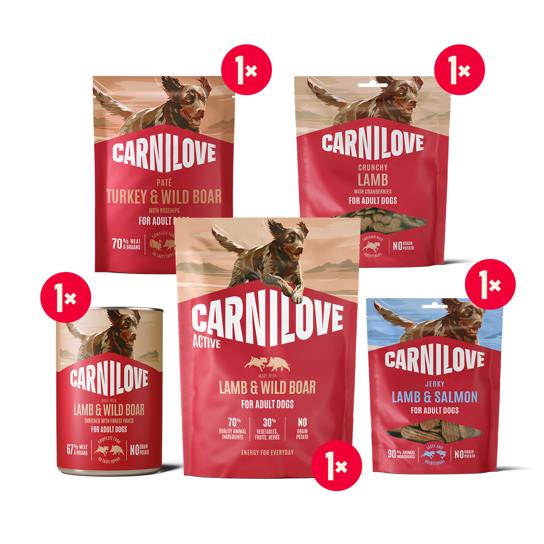 ACTIVE Adult Dog starter pack