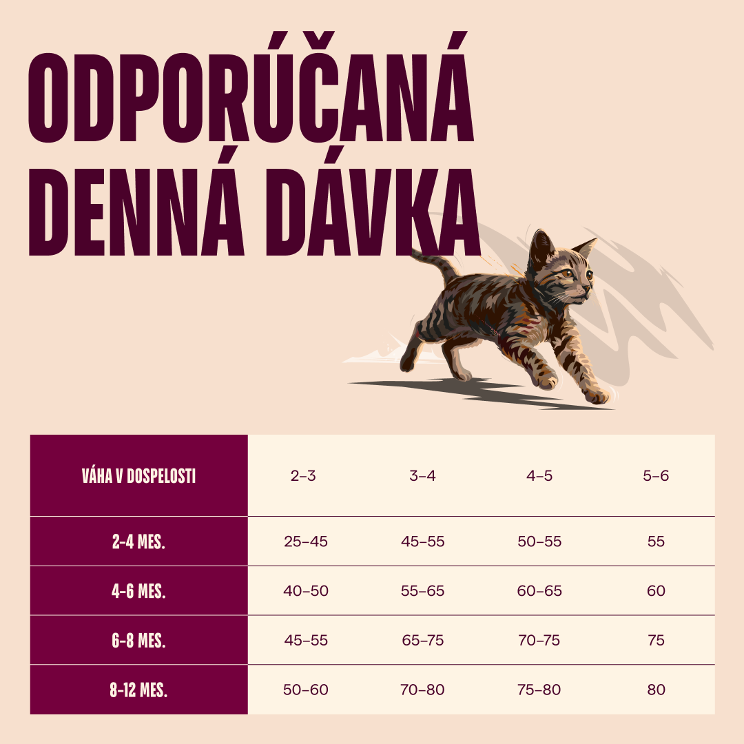100173759 4 SK