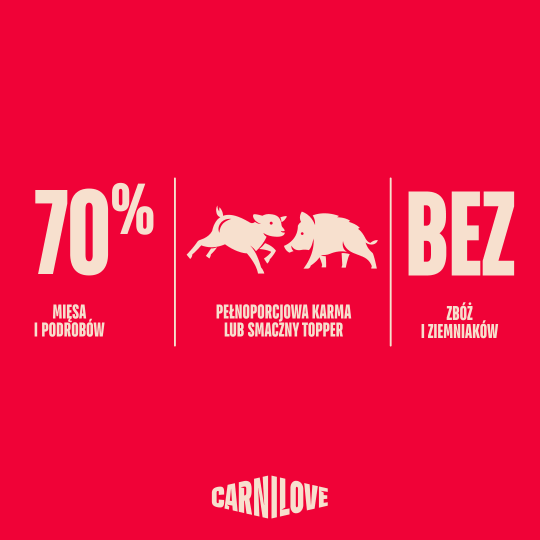 Can pack Dog, zestaw mix puszek dla psa 