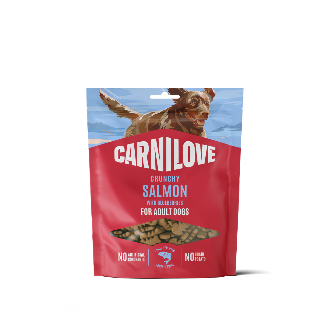 Salmon with Blueberries CRUNCHY Snack for Dogs 200g