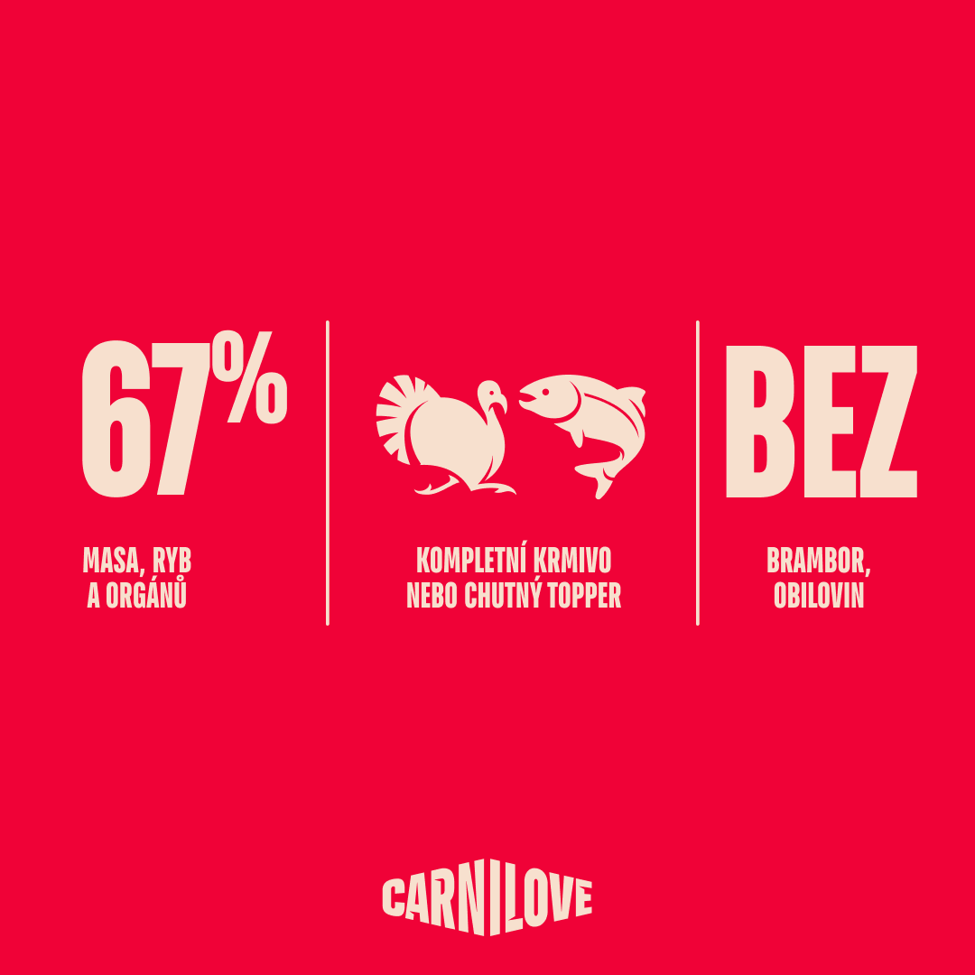 Paté CAN Food Made with Turkey & Salmon for Dogs 400 g