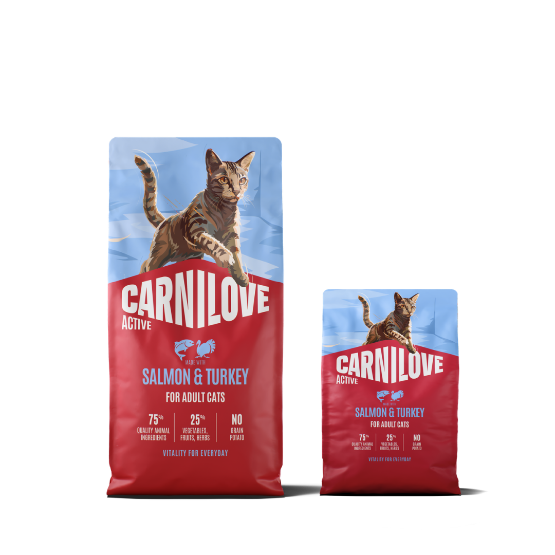 Active Dry Salmon & Turkey XXL for adult cats pack
