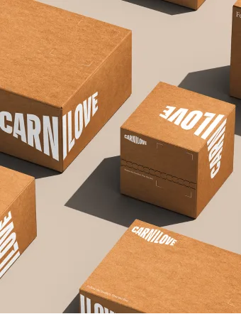 Branded Carnilove boxes arranged together, representing product packaging and delivery.