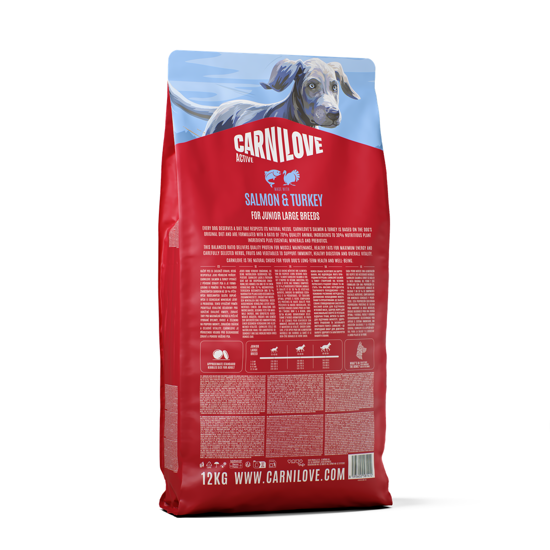 ACTIVE Dry Food Made with Salmon & Turkey for Junior Dogs