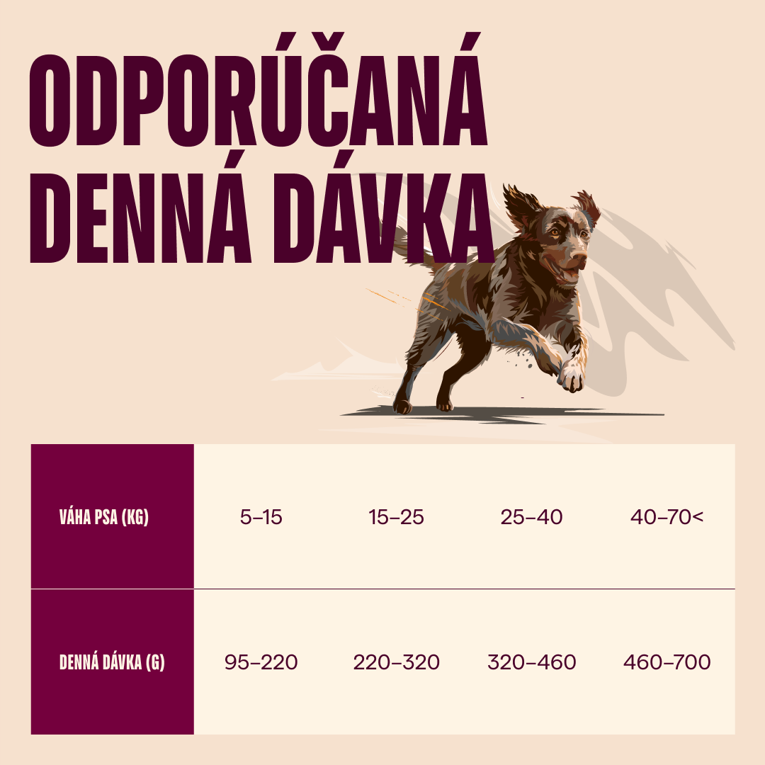 100173681 4 SK