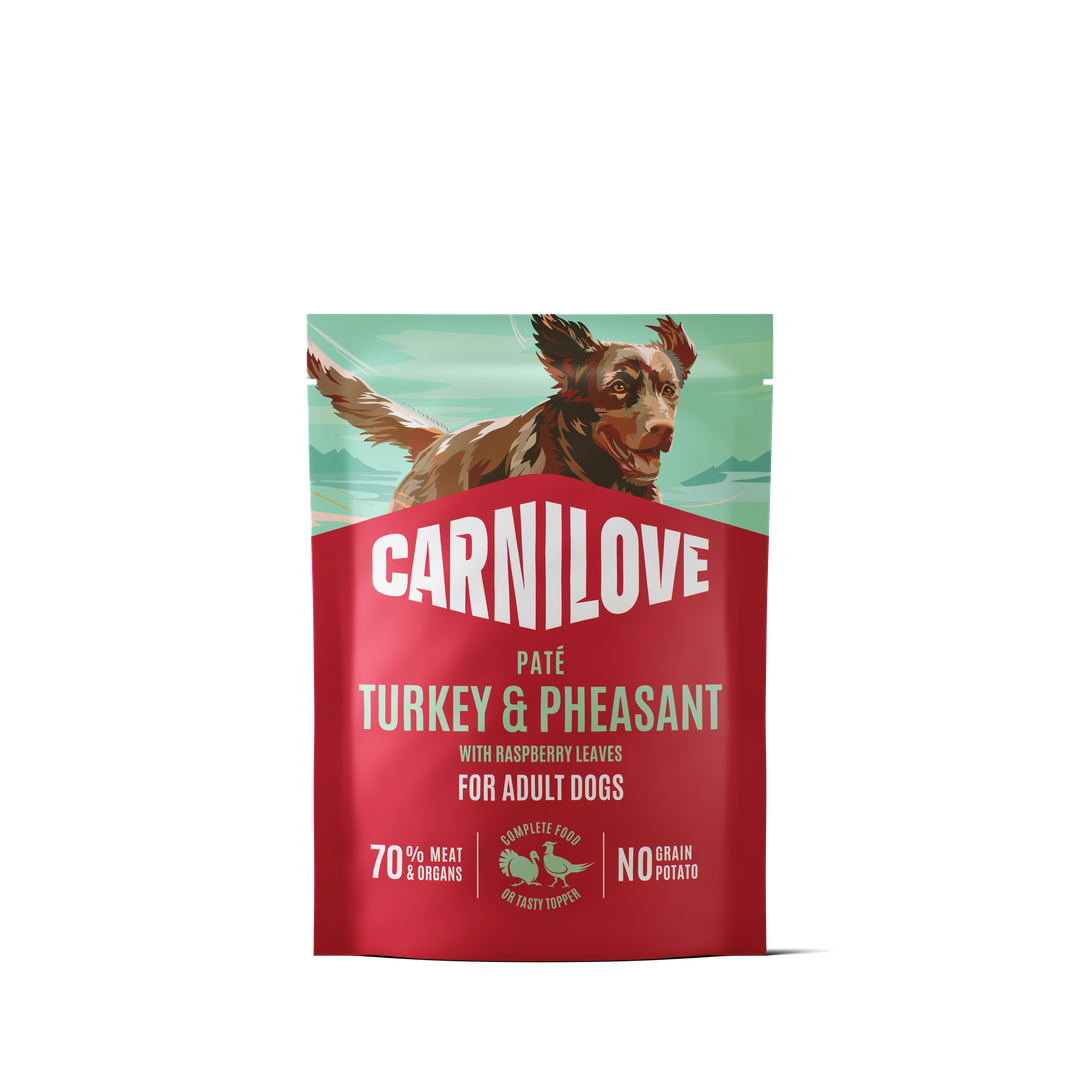 Turkey & Pheasant with Raspberry Leaves Dog POUCH Paté 300g