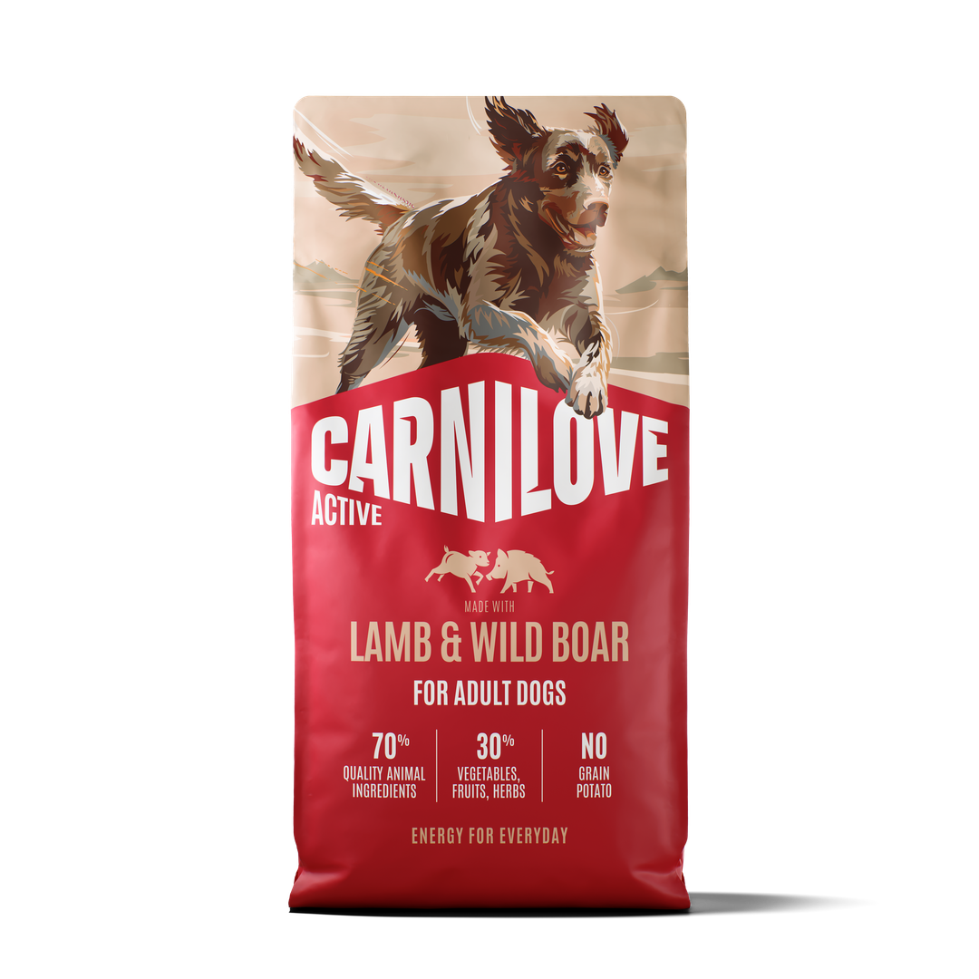ACTIVE Dry Dog Food Made with Lamb & Wild Boar