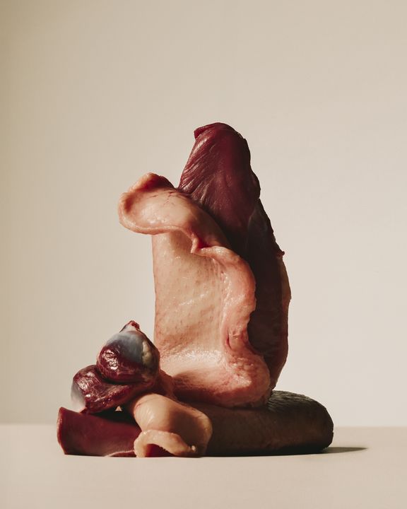 Canard