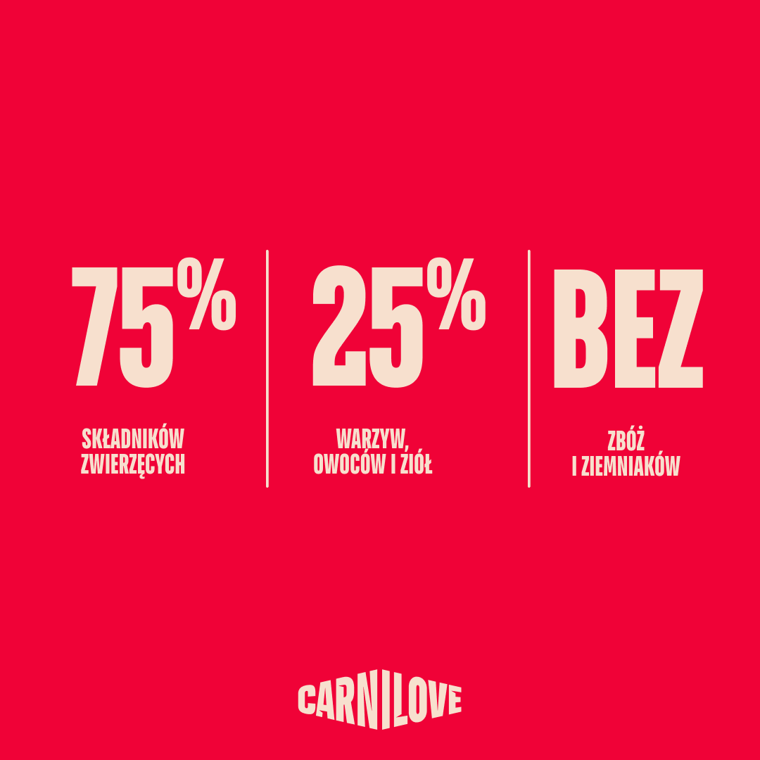 ACTIVE Dry Food Made with Salmon & Turkey for Small Dogs, karma łosoś z indykiem dla dorosłych psów małych ras 