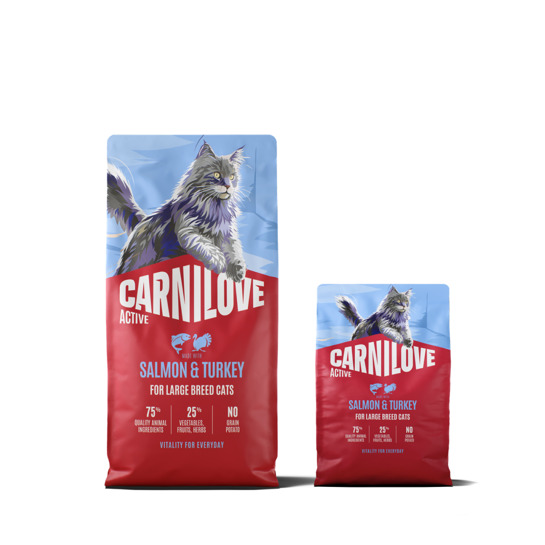 Active Dry Salmon & Turkey XXL for Large Cats Pack, Pakiet dla Dużych Ras Kotów