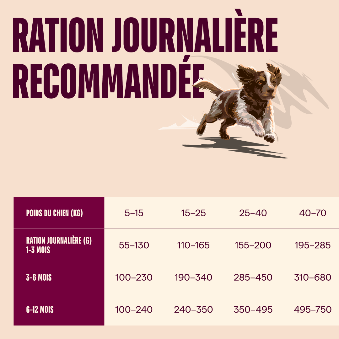 100173698 4 FR