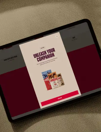 Tablet zobrazující kvíz Carnilove, který pomáhá vypočítat ideální denní dávku krmiva pro psa na základě plemene, věku, hmotnosti a aktivity.