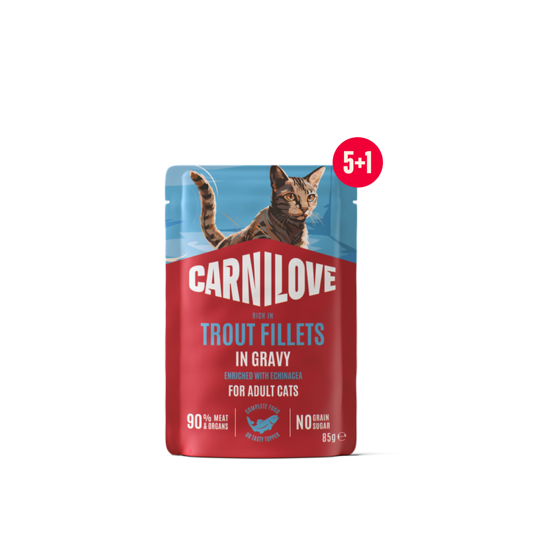 Gravy pouch Trout with Echinacea for cats 5+1 pack