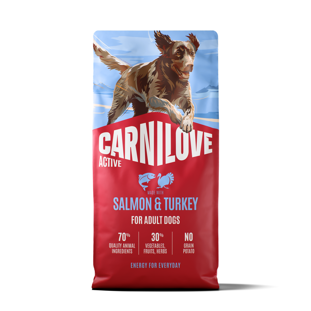 ACTIVE Dry Food Made with Salmon & Turkey for Adult Dogs