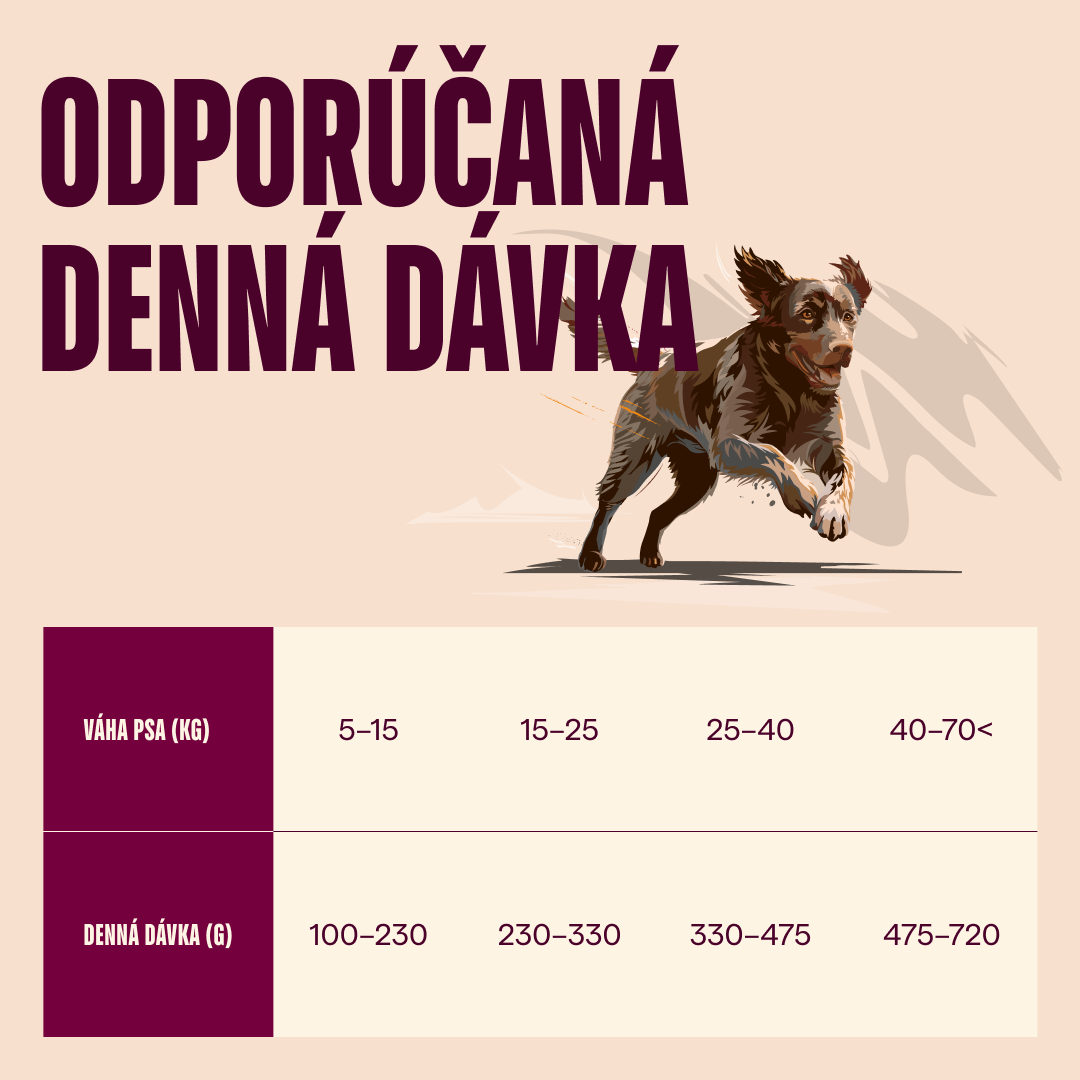 100173732 4 SK