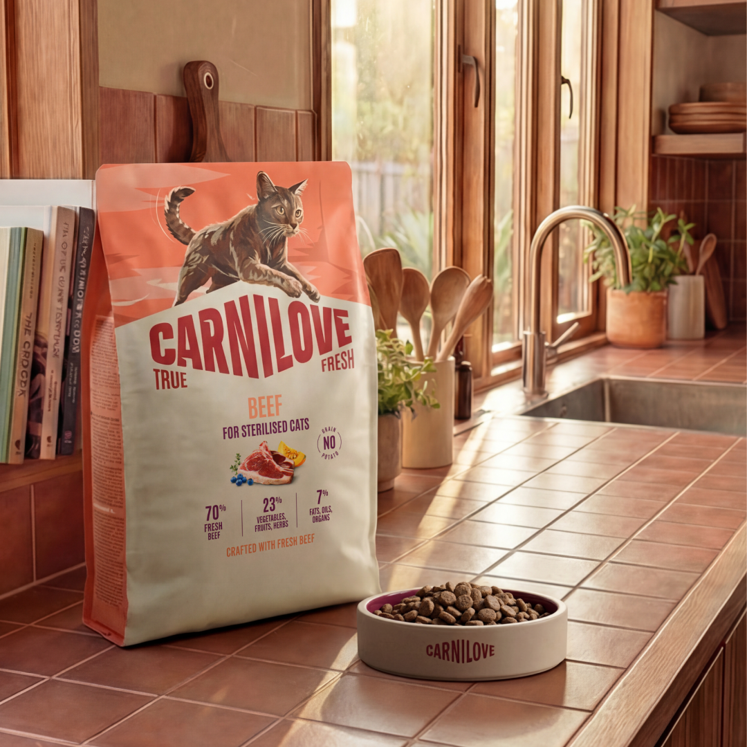 TRUE FRESH Beef Dry food for Sterilised Cats