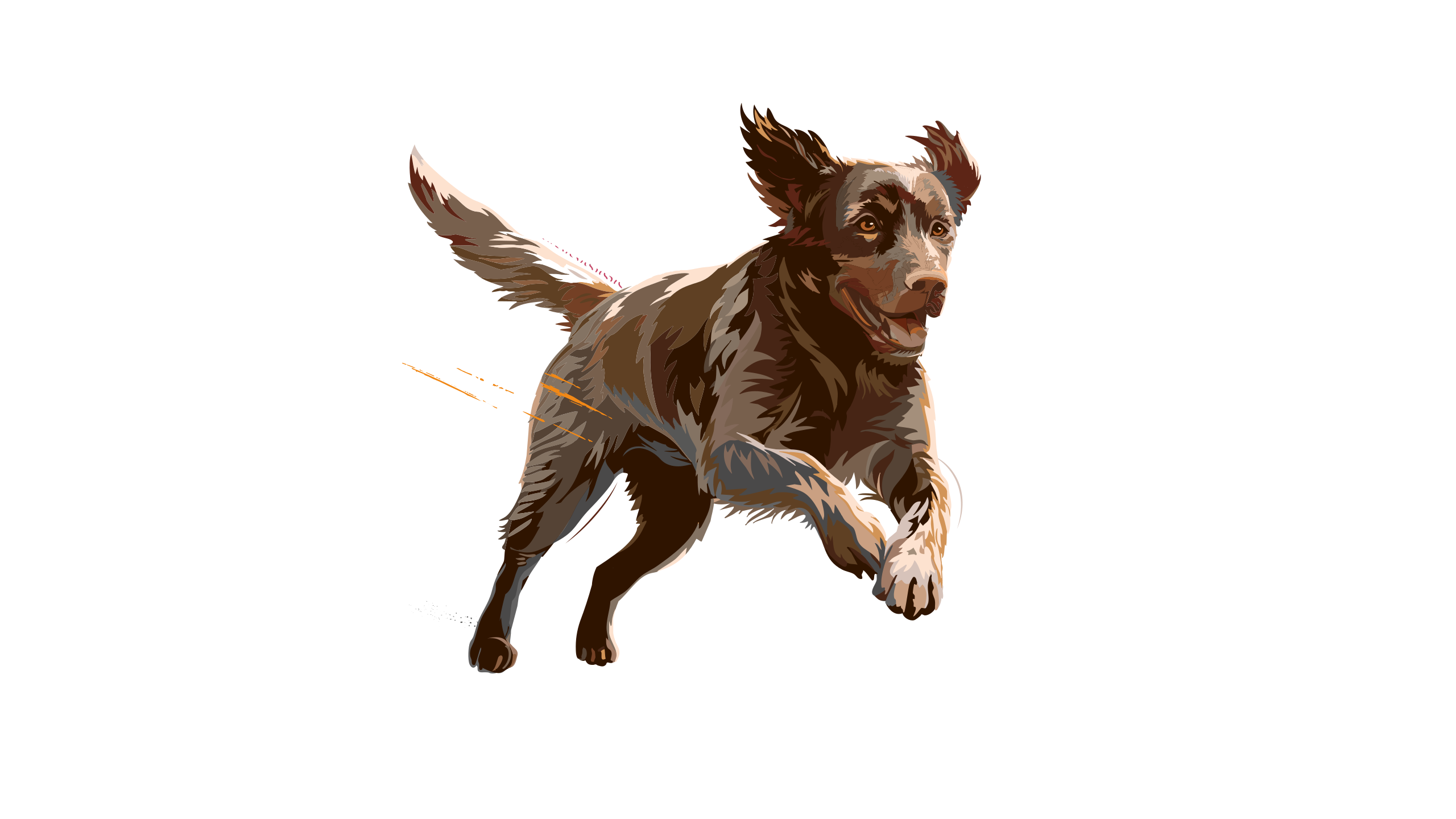 Carnilove-Illustration-Dog-Adult-Active