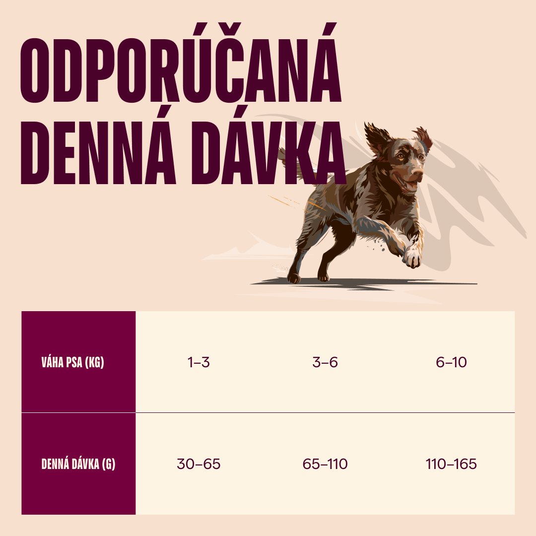 100173735 4 SK