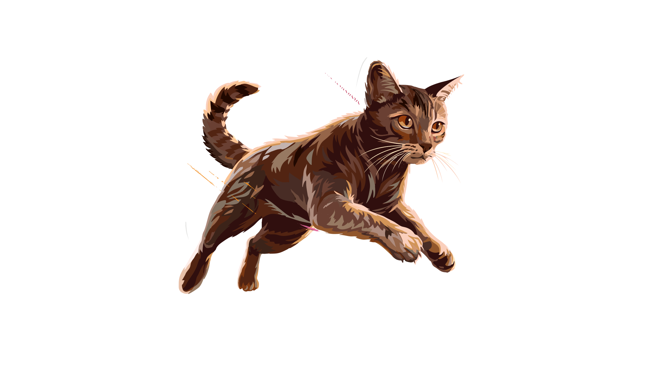 Carnilove-Illustration-Cat-Adult-True-Fresh