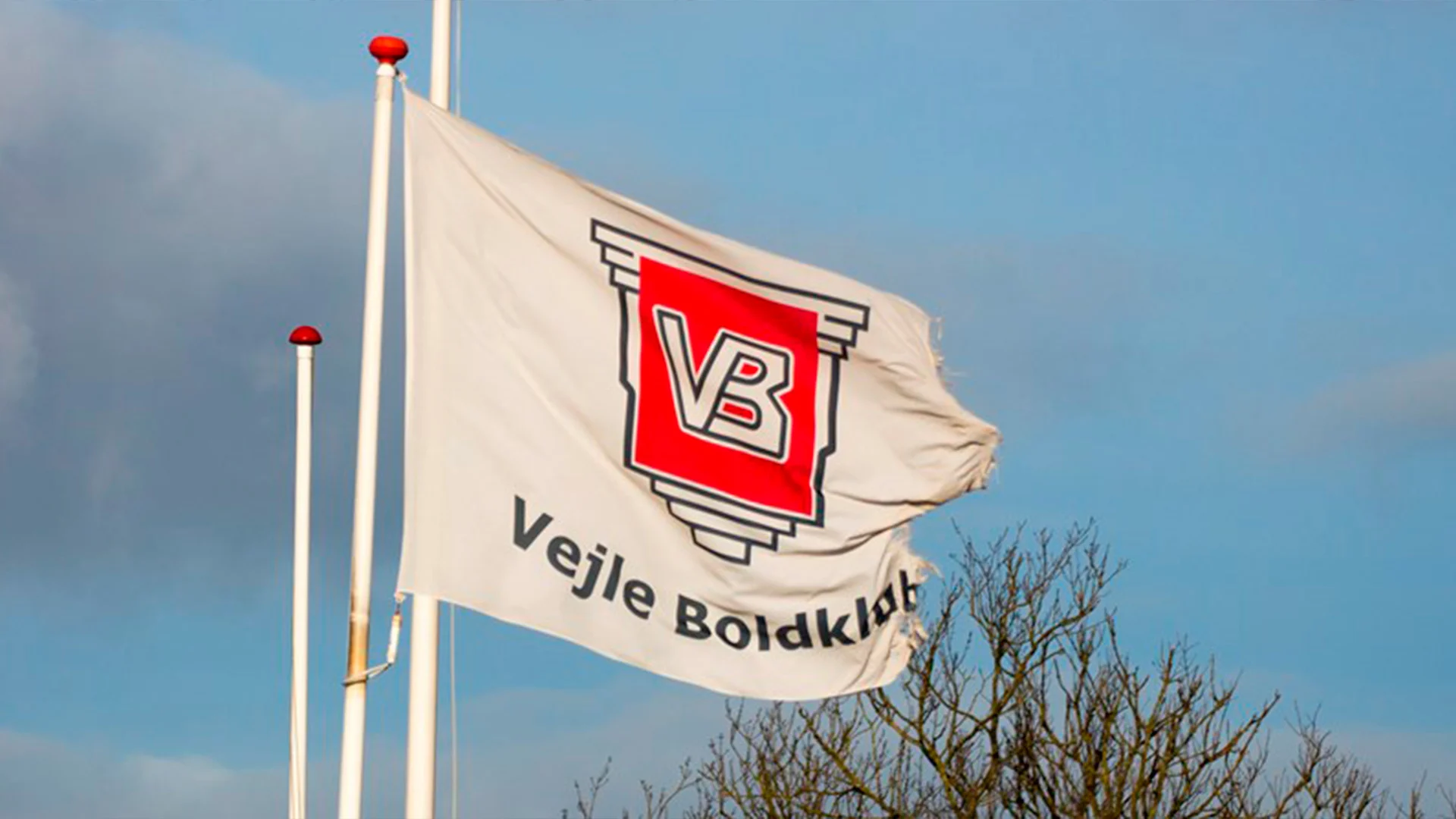 Billede Vejle flag