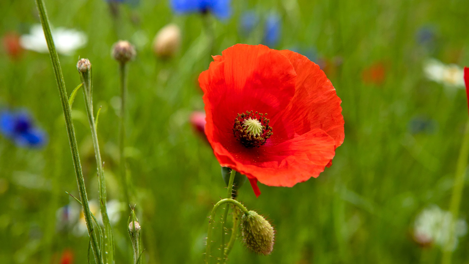 SPORT 24’S - Certificeringer - Miljø og kemi - OEKO-TEX® STANDARD 100  (ESG) - Er OEKO-TEX® STANDARD 100 bæredygtigt?