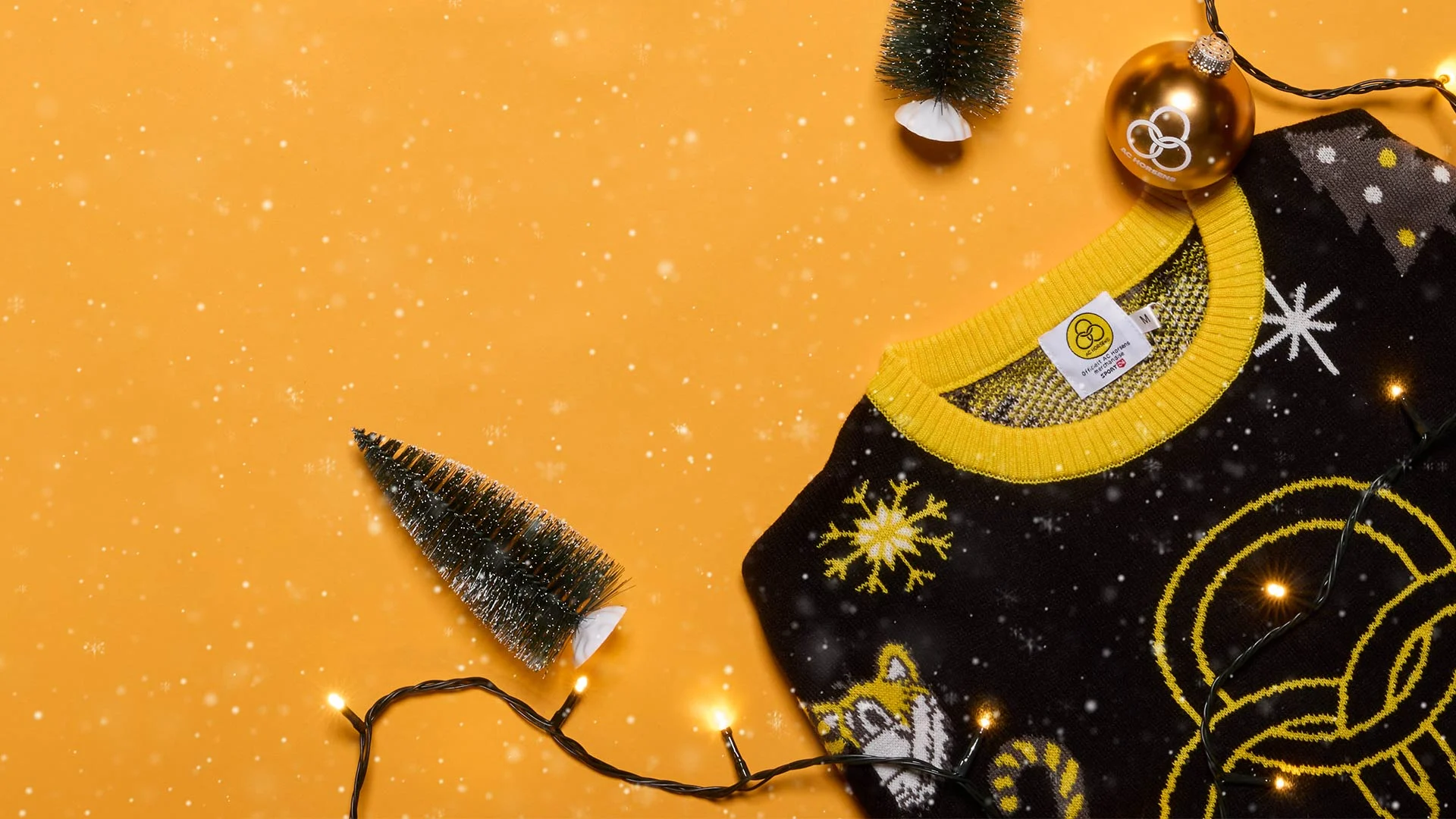 Topbillede AC Horsens Jul 2025