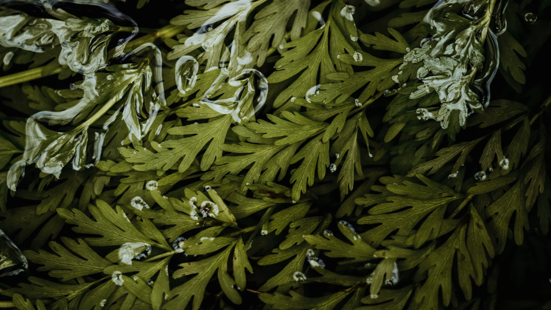 SPORT 24’S - Certificeringer (ESG) - Vores tilgang