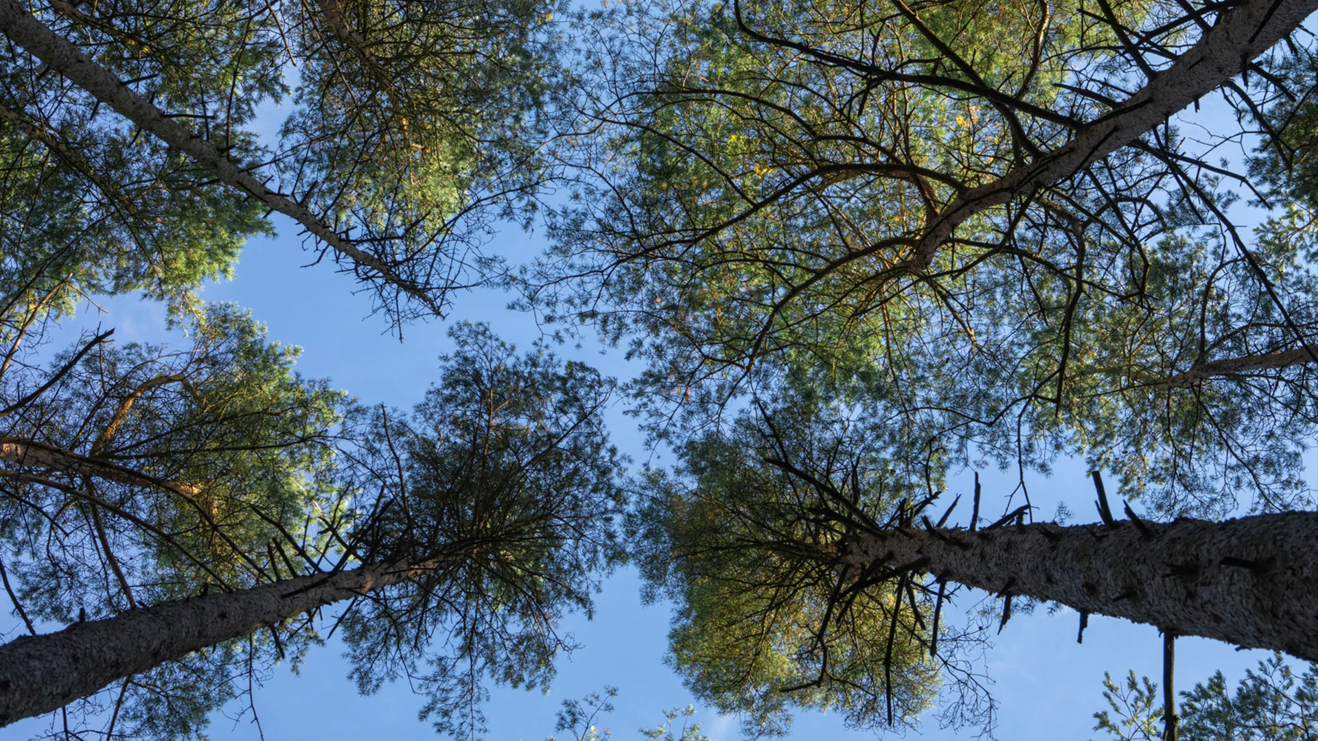 SPORT 24’S - Certificeringer (ESG) - Er certificeret tøj bæredygtigt?