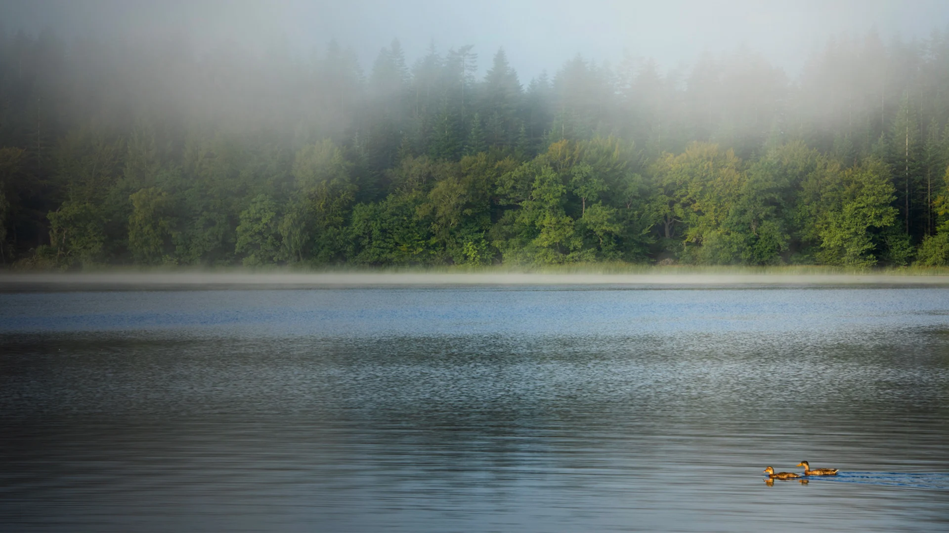 SPORT 24’S - Certificeringer - Miljø og kemi - OEKO-TEX® STANDARD 100  (ESG) - topbillede