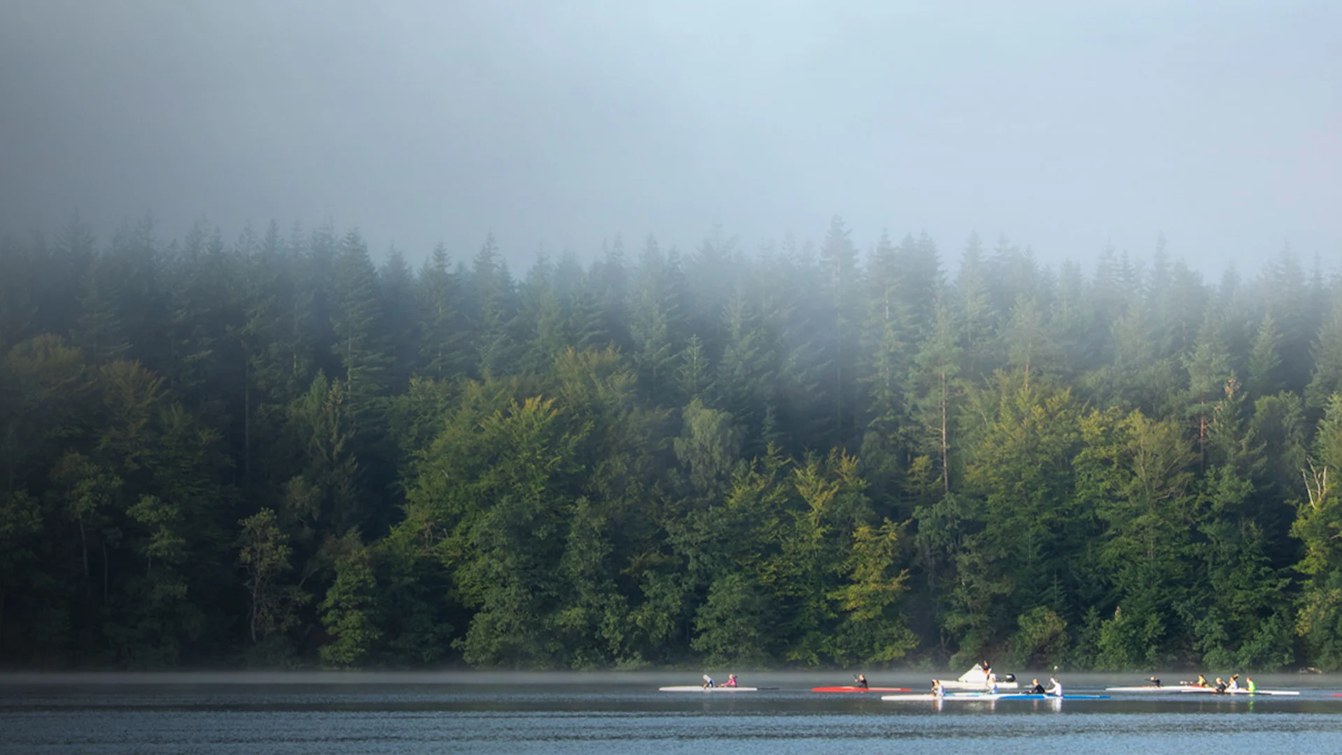 SPORT 24’S - Certificeringer (ESG) - full width billede