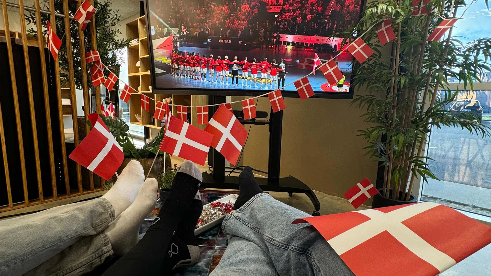 Håndbold banko: Spil med derhjemme! 