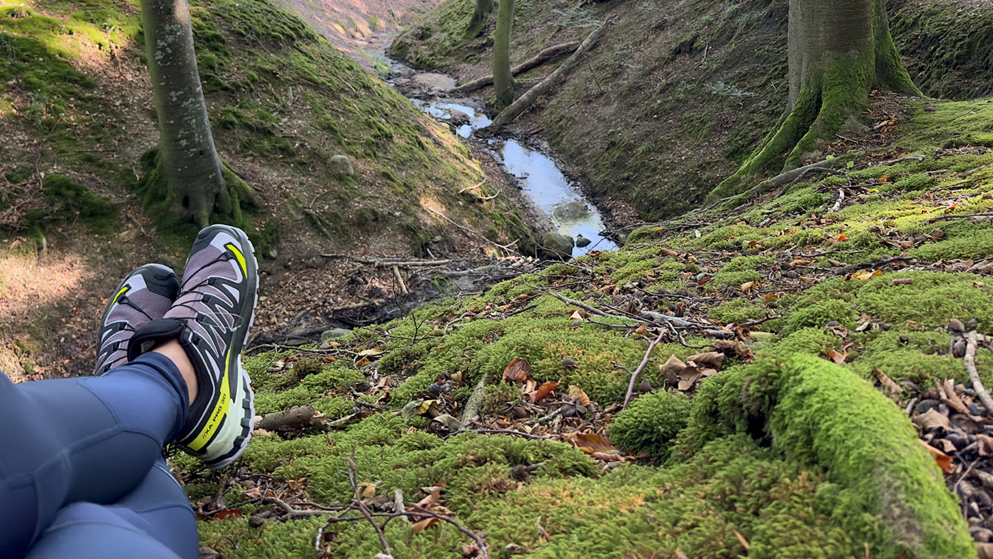 En hyggelig efterårstur ud i naturens farver