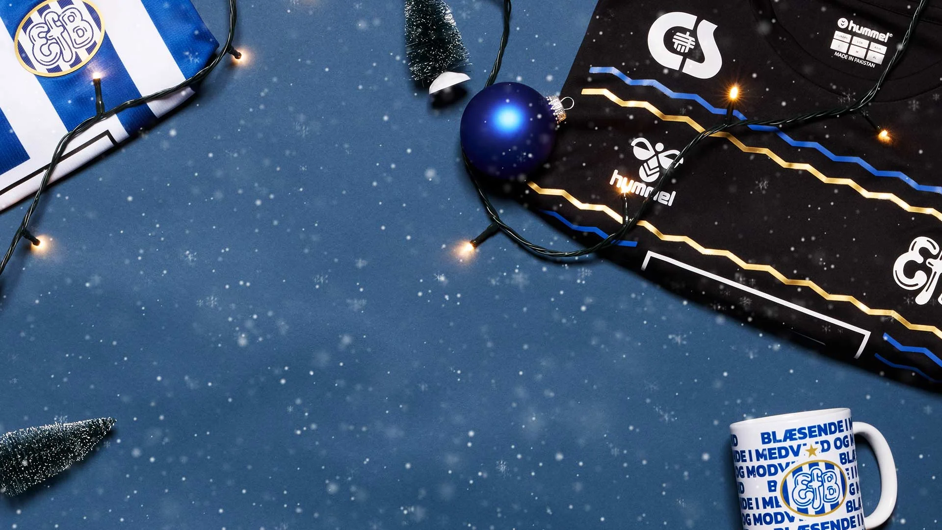 Topbillede EfB Jul 2025