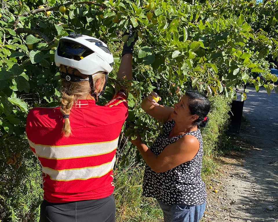 Cykelpigerne -plukker med lokal
