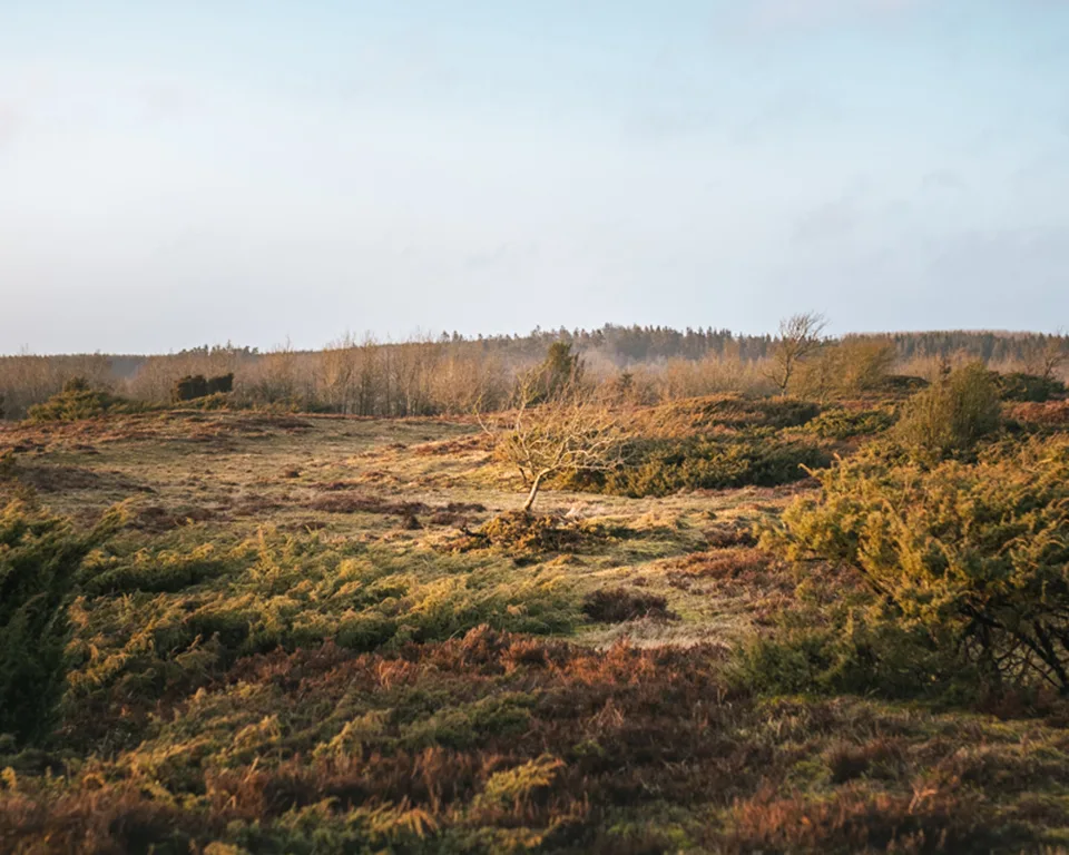 Himmerland natur