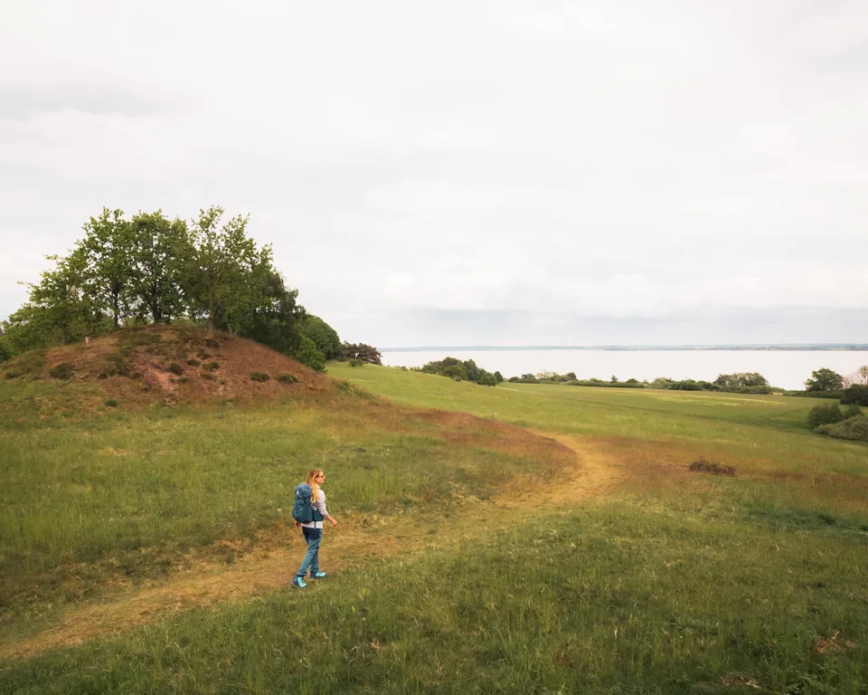 Vandring ved gravhøj Dragebjerg