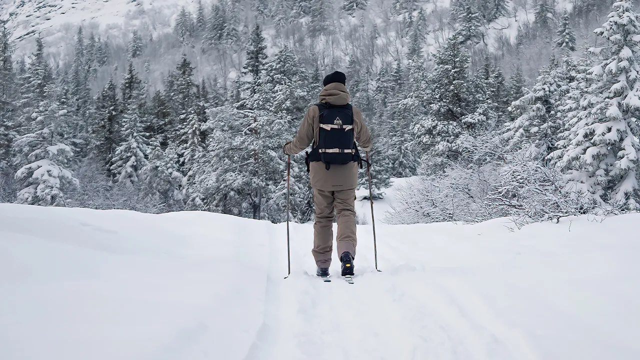 Ski