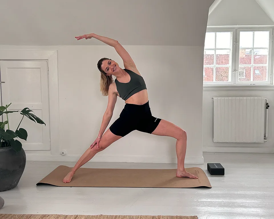 Billede 2 - Effektiv hjemmetræning - med minimalt udstyr 