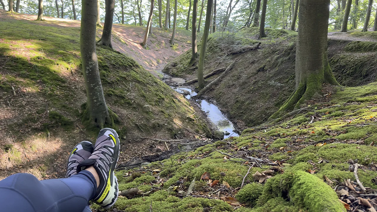 6 rigtig gode grunde til at gå en tur