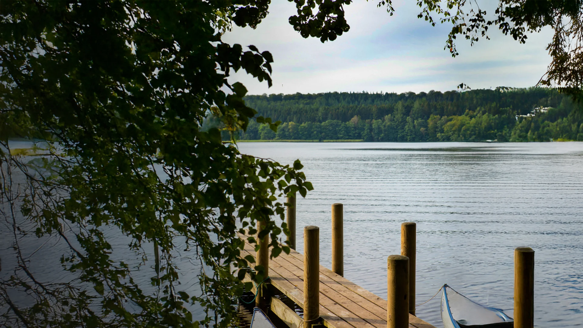 SPORT 24’S - Certificeringer - Miljø og kemi  (ESG) - topbillede