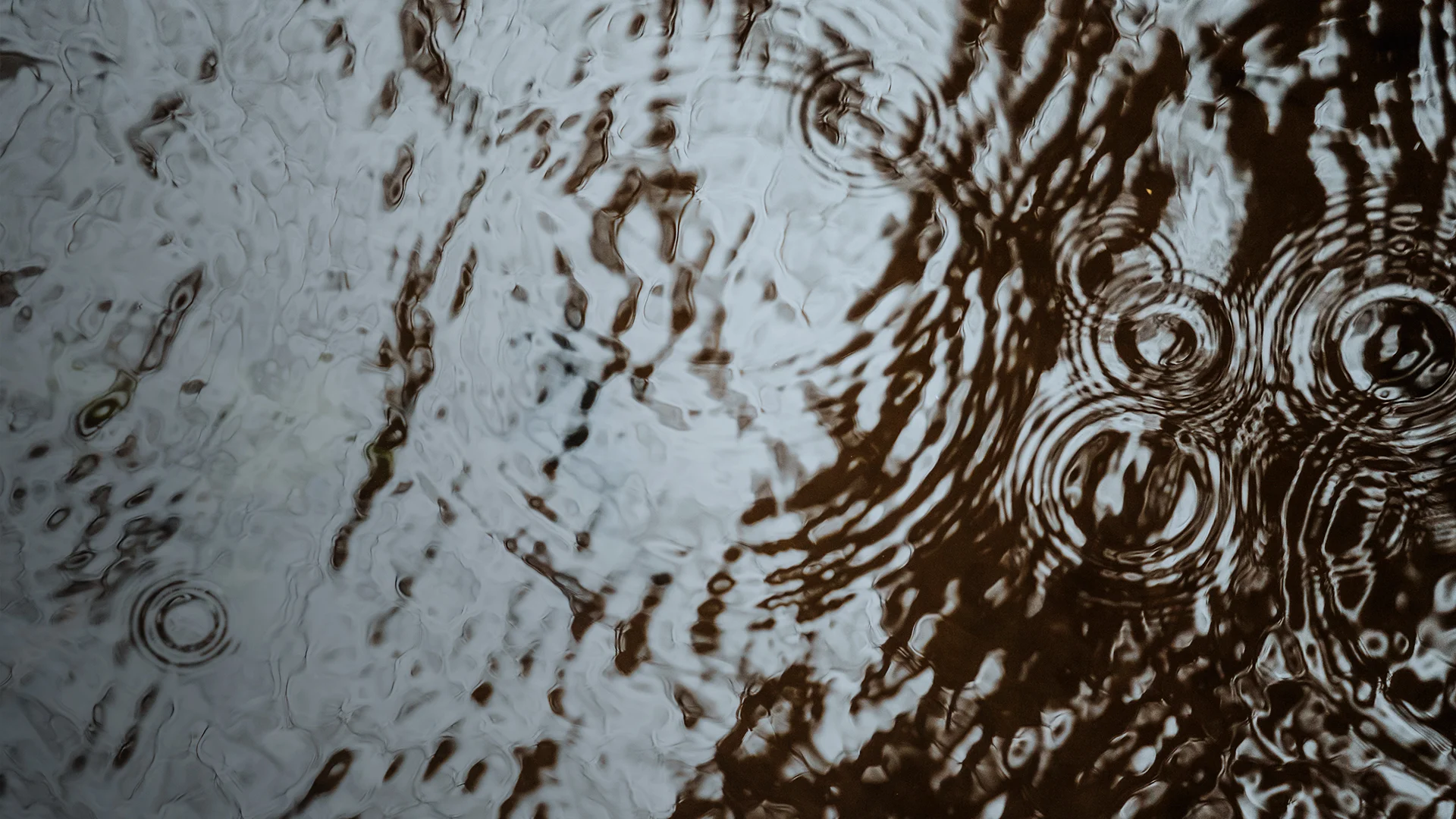 SPORT 24’S - Certificeringer - Miljø og kemi - Bluesign® (ESG) - topbillede