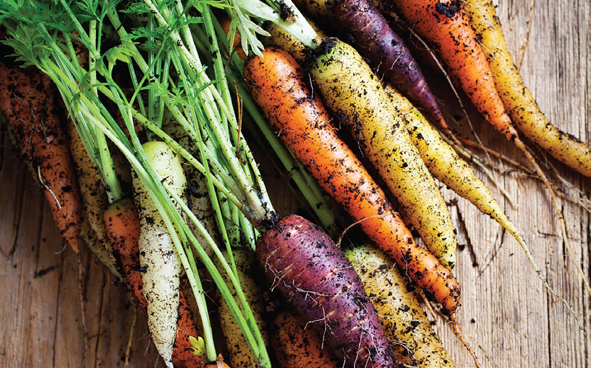 Carrot & celery salad Live Better