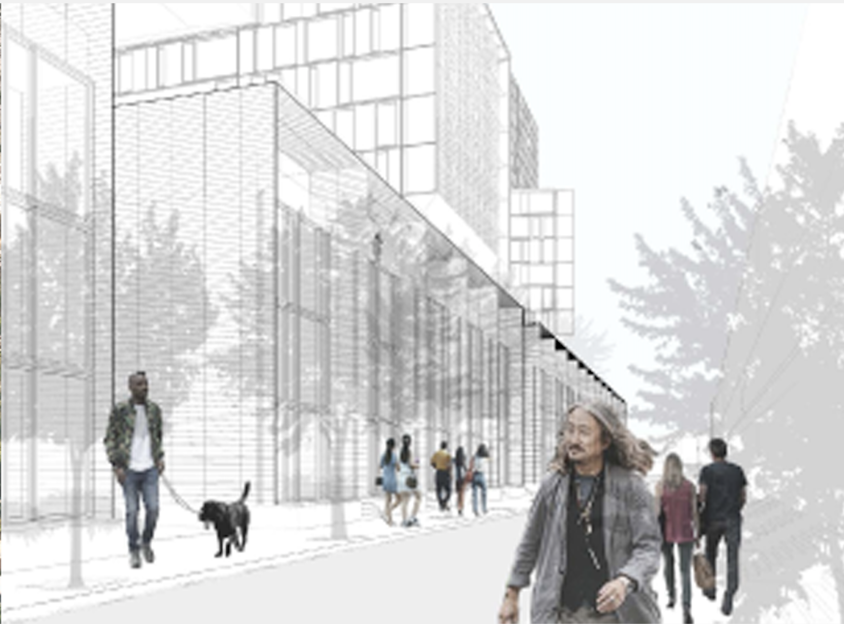 Screen Shot 2020-11-21 at 9.48.37 AM