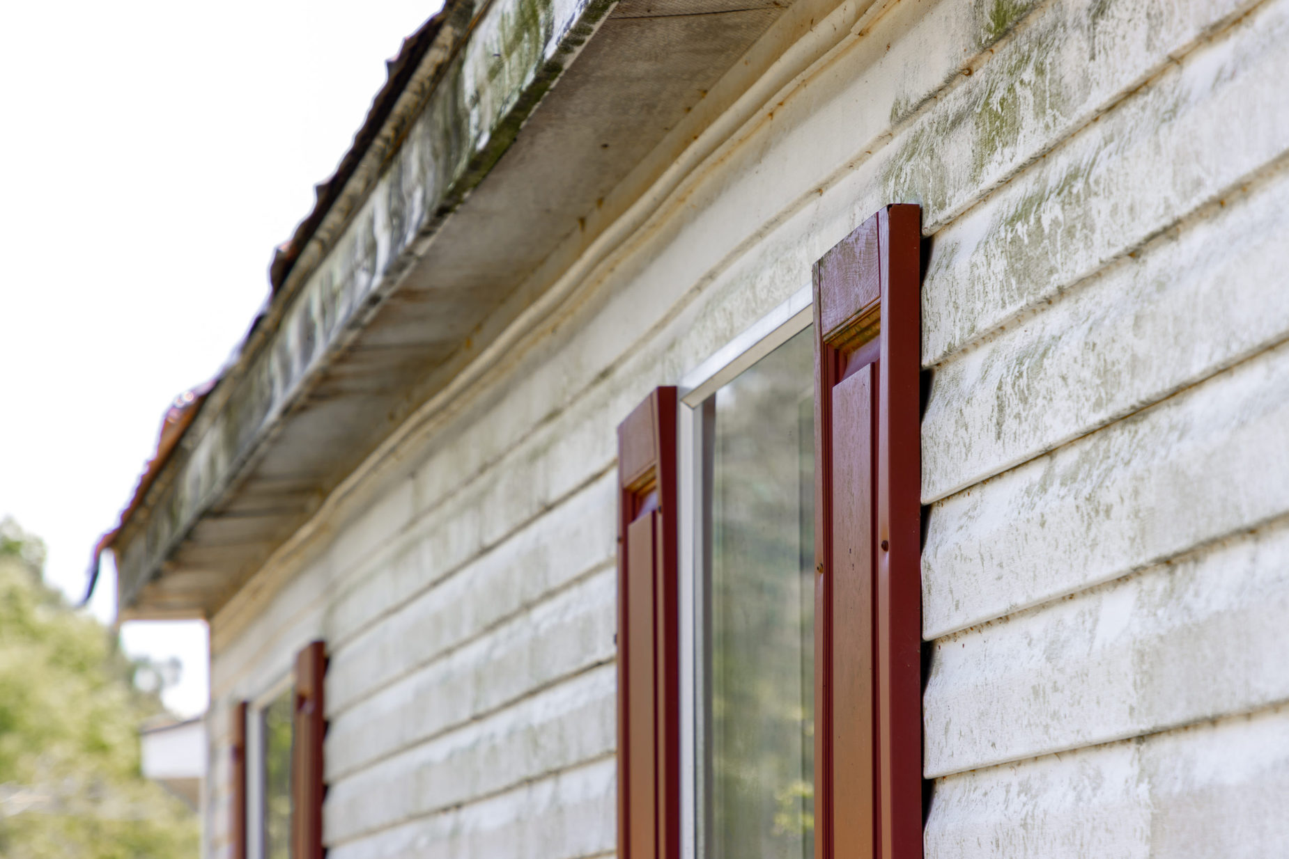 How To Fix Mold And Oxidation On Vinyl Siding   Mold Vinyl Siding 