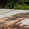 Essential Guide to Deck Rot Repair You Need to Know
