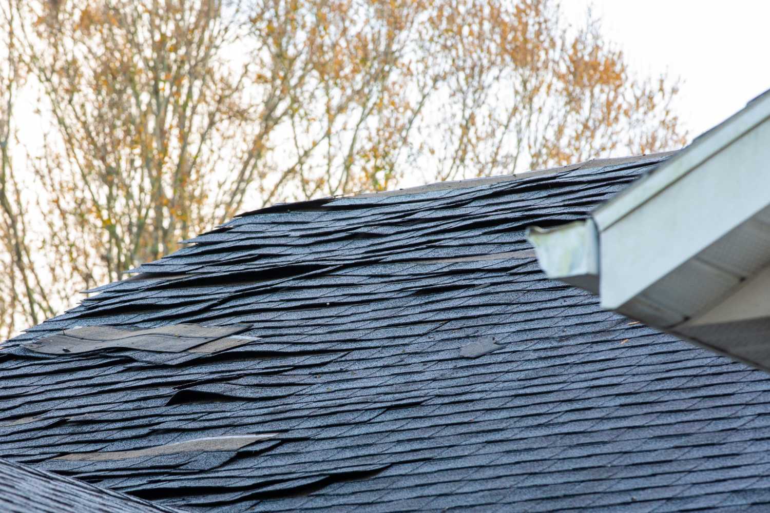 8 Signs of Storm Damage on Your Roof